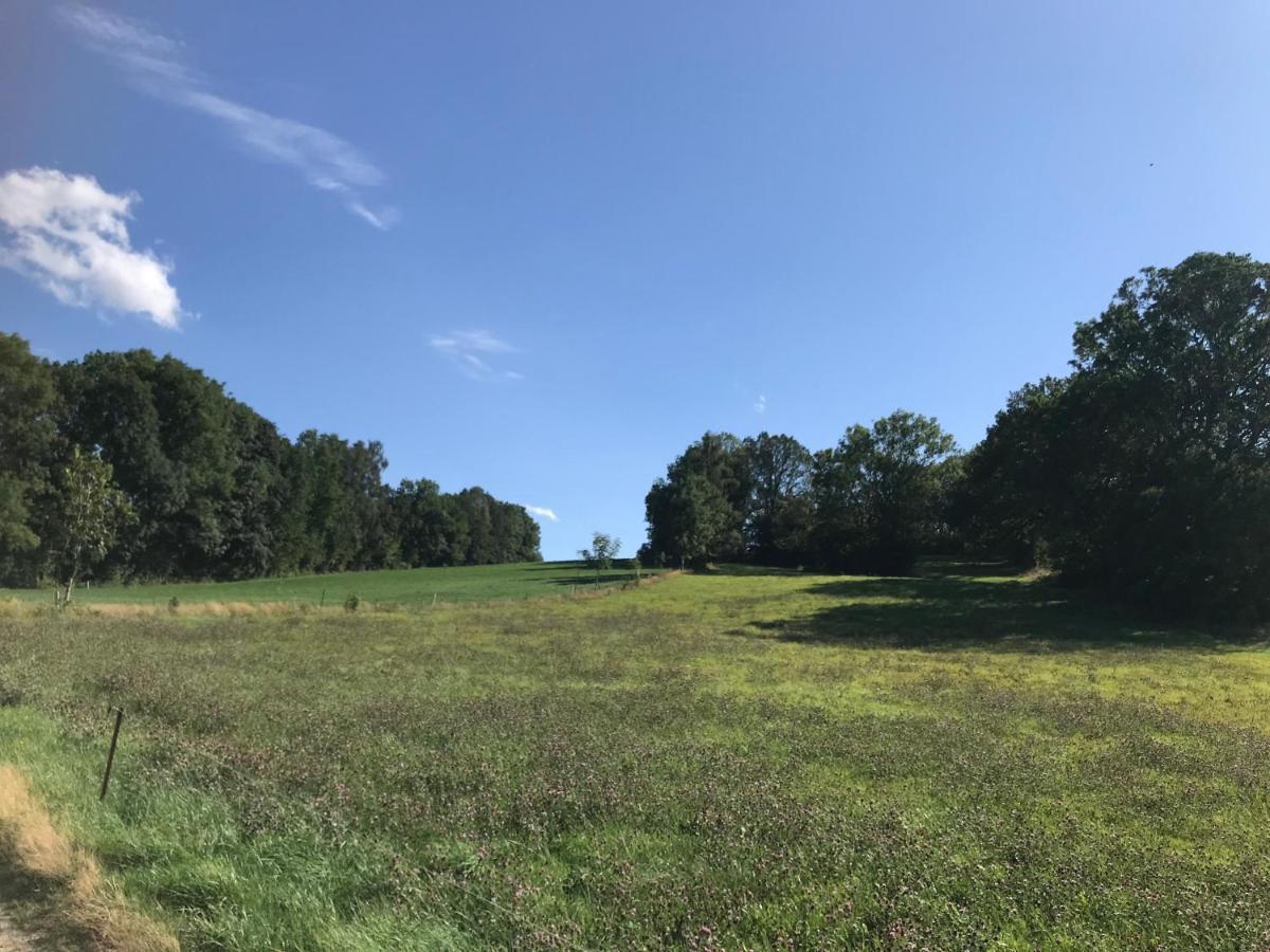 Landhotel Trakehnerhof Eppendorf  Zewnętrze zdjęcie